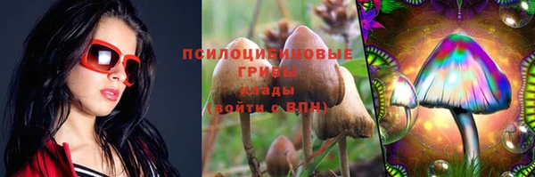 spice Алексеевка