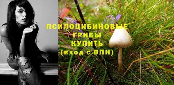МДПВ Алексин