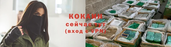 гашик Пестово