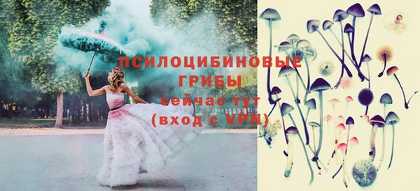 МДПВ Алексин