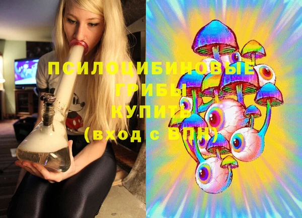 гашик Пестово